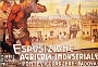 Un bel manifesto per una importante manifestazione fieristica in provincia di Padova, del 1910 (Laura Calore)